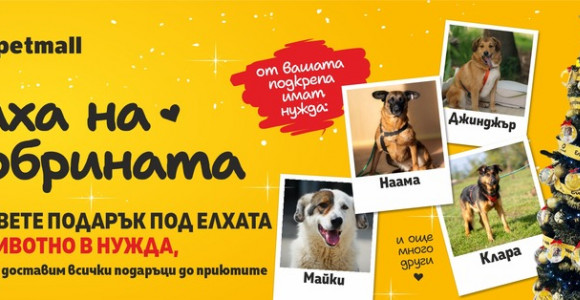 Елхата на добрината – когато Коледа се превръща в надежда